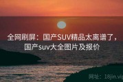 全网刷屏：国产SUV精品太离谱了，国产suv大全图片及报价