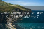 没想到！冈本视频还有另一面 · 独家530，冈本视频现在改叫什么了