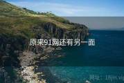原来91网还有另一面