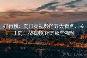 排行榜：向日葵视频的五大看点，关于向日葵视频,还是那些视频