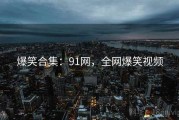 爆笑合集：91网，全网爆笑视频