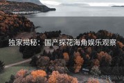 独家揭秘：国产探花海角娱乐观察