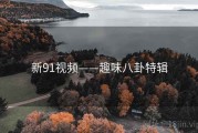 新91视频——趣味八卦特辑