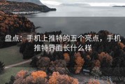 盘点：手机上推特的五个亮点，手机推特界面长什么样