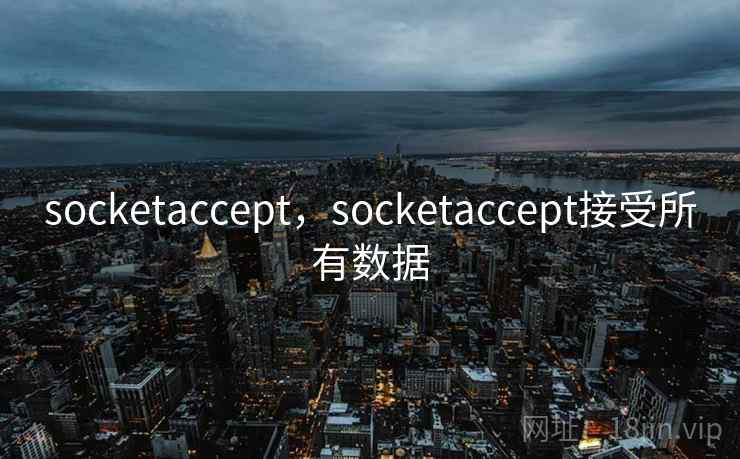 socketaccept，socketaccept接受所有数据