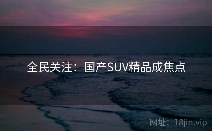 全民关注:国产SUV精品成焦点 全民关注:国产SUV精品成焦点