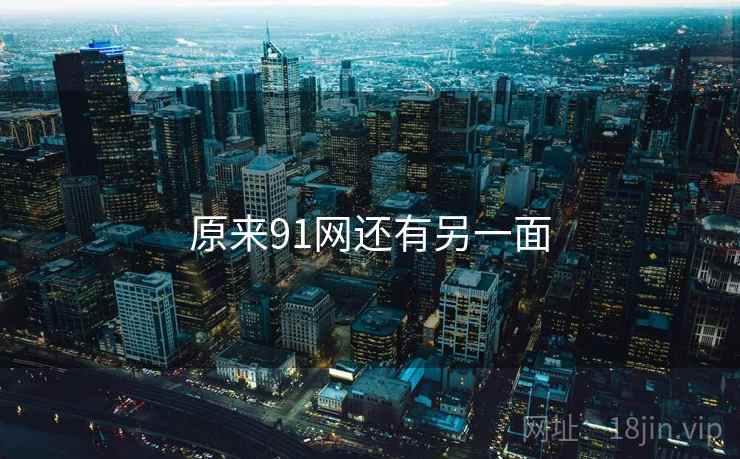 原来91网还有另一面